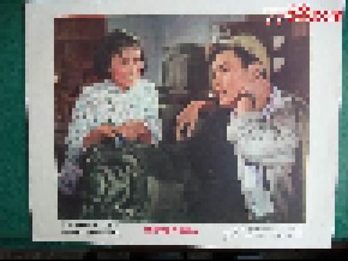 乌兹别克斯坦护照怎么买假的